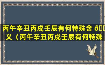 丙午辛丑丙戌壬辰有何特殊含 🐕 义（丙午辛丑丙戌壬辰有何特殊含义吗）